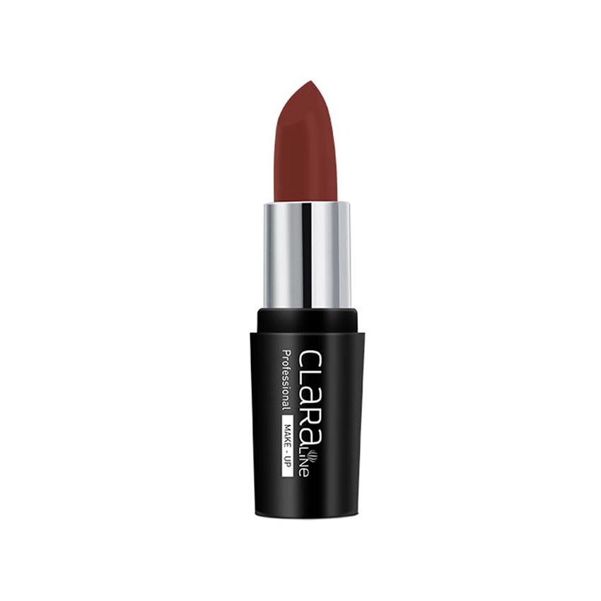 Claraline Professional Make-Up HD Effect Matte Lipstick, 460 – 4.2gm