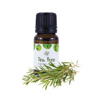 Skin Cafe 100% Natural Essential Oil - Tea Tree-0